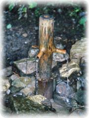 Izvir mineralne vode